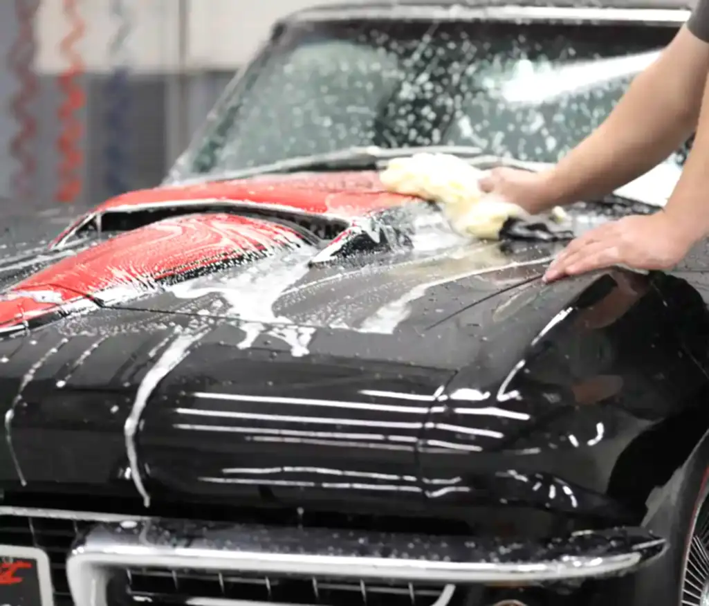 ziebart detaylı dış temizlik