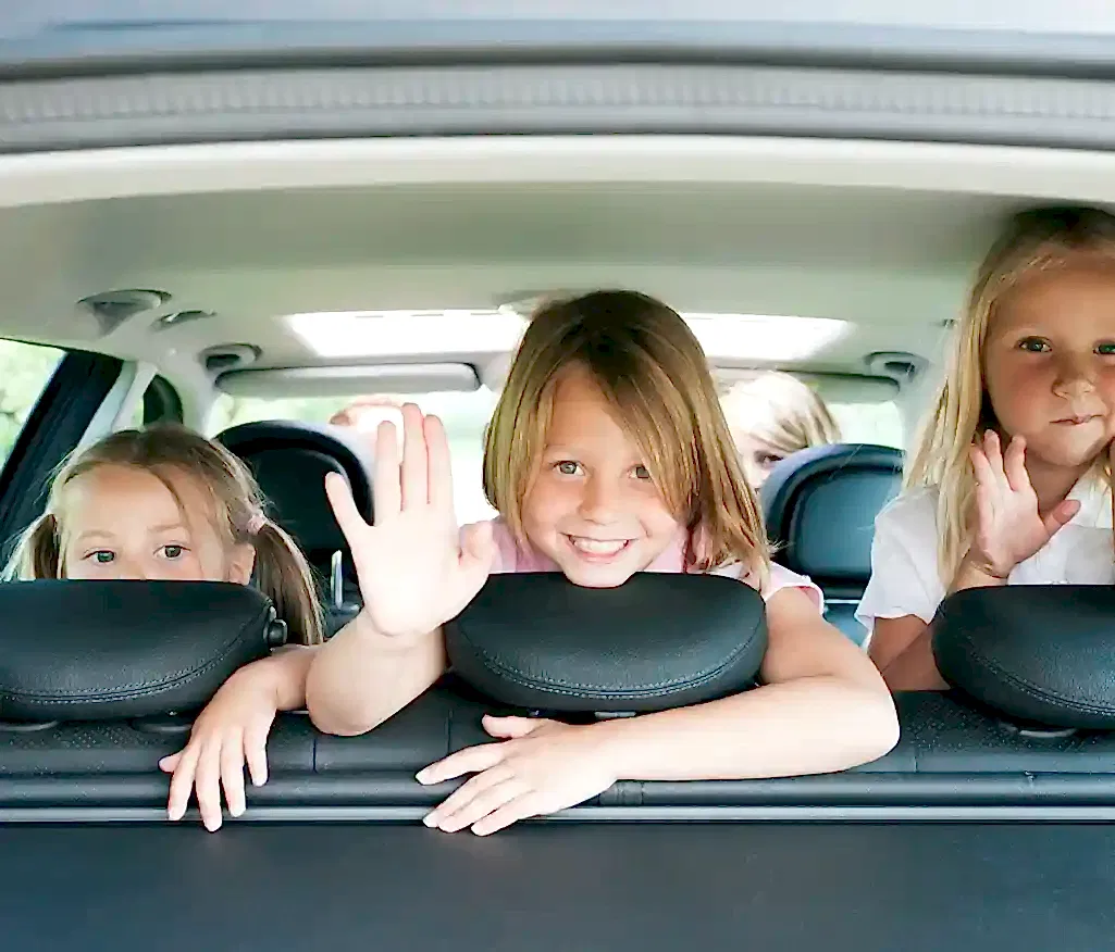 ziebart anti-bakteriyel detaylı iç temizlik